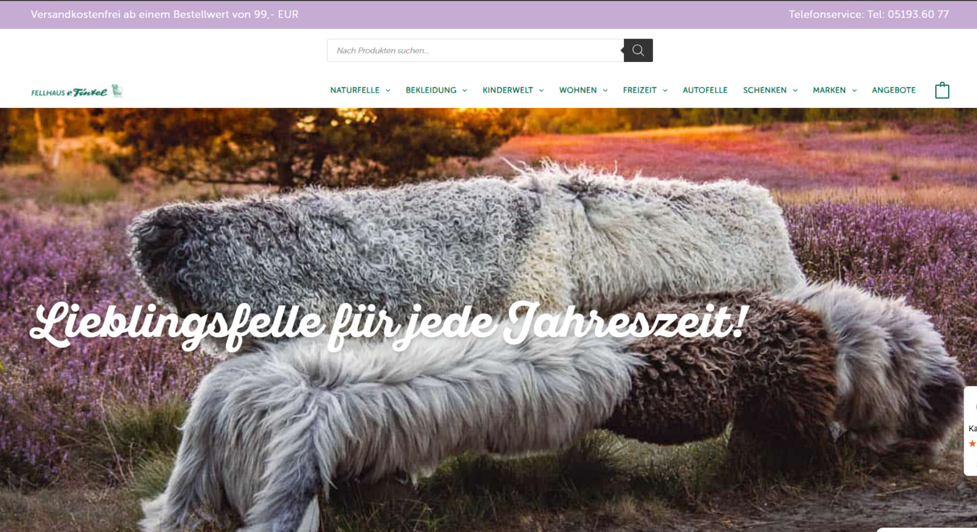 Wie man ein interaktives Inhaltsenthüllungs-Karussell mit Divi 5 erstellt